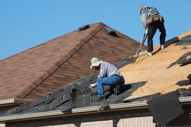 Best Rubber Roofing (EPDM, TPO)  in Riverview, FL